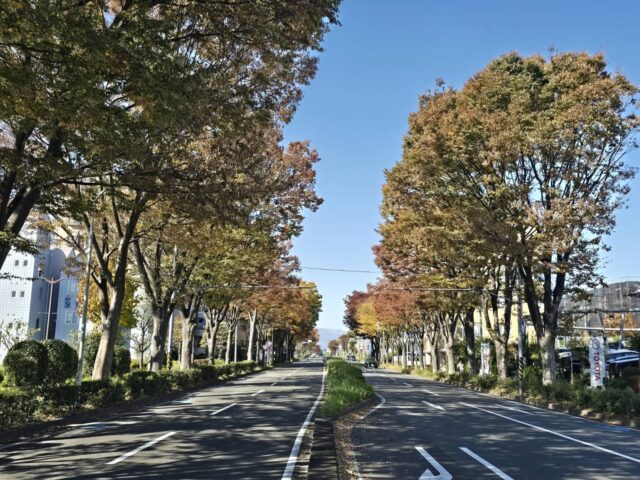 【新築戸建】敷地46坪超え・南向きで日当り良好・シューズインクロゼット・ファミリークロゼット2箇所等を備えた収納豊富な３LDK・駐車スペース２台。