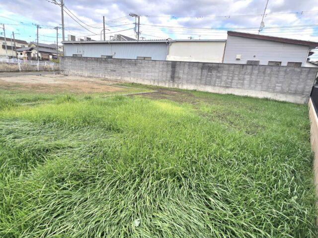 近隣の公園(周辺)